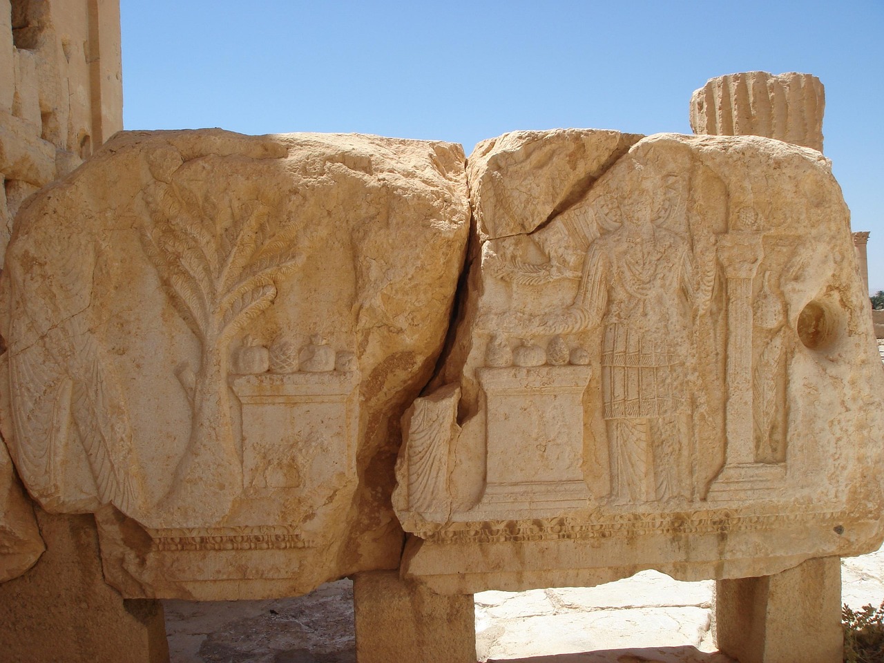 palmyra, deserts, pearl, semitic city, syria, posse, neolithic, palmyra, syria, syria, syria, syria, syria